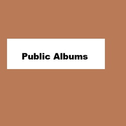 Public Albums